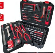 3108 108pc Tool Set in Blow Case